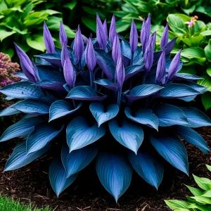 Хоста Сикрет Гров купить по цене от 570р. в интернет-магазине «Посадика» с доставкой почтой в в Сальске и по всей России – [изображение №1].